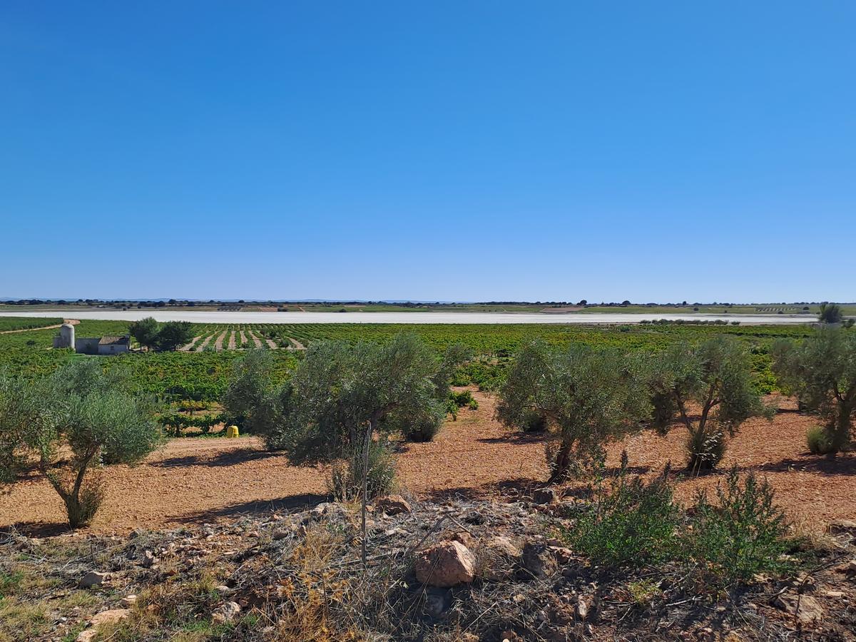 Foto de Alcahozo (Pedro Muñoz)