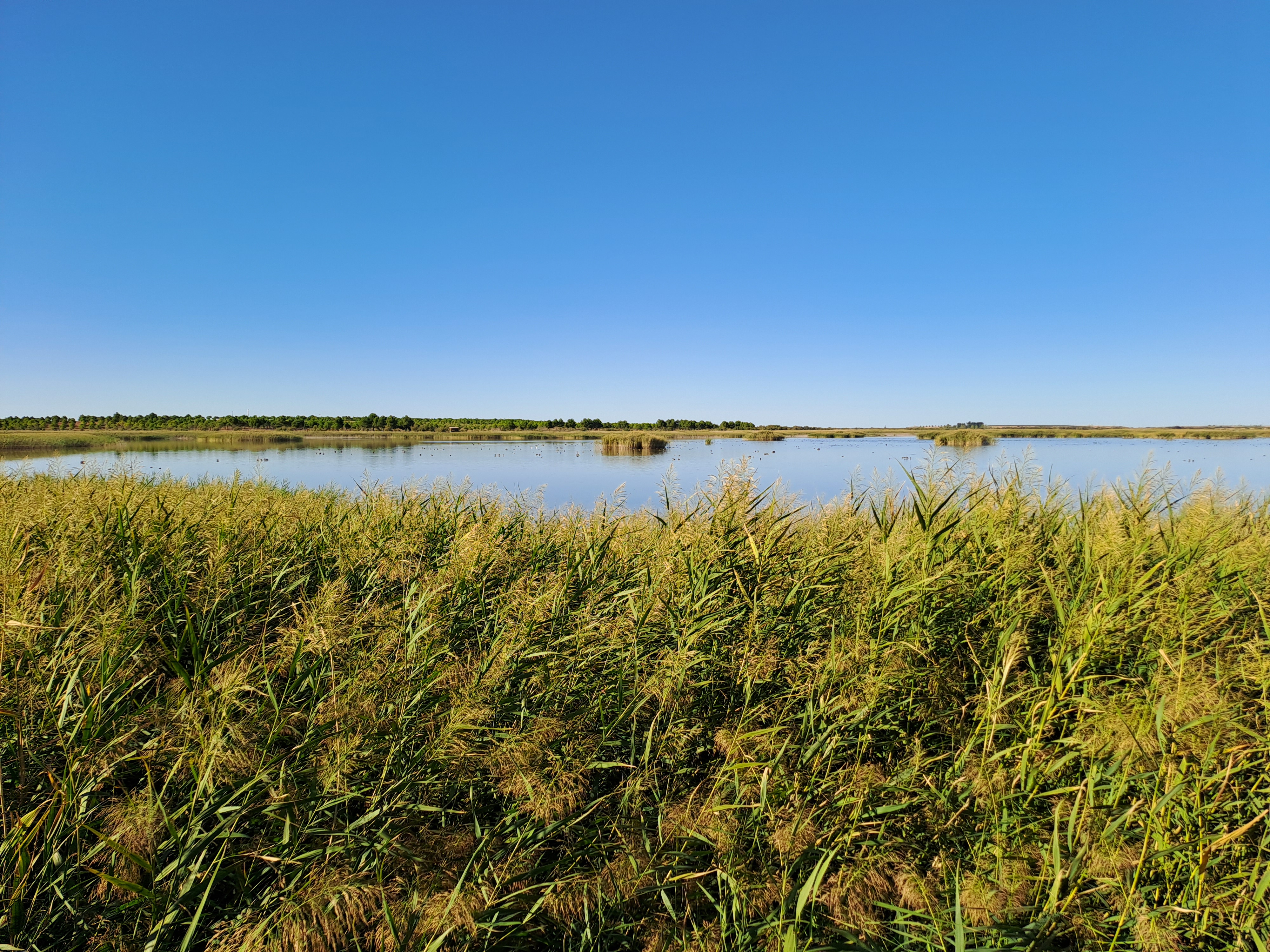 Foto de Chica (Villafranca de los Caballeros)