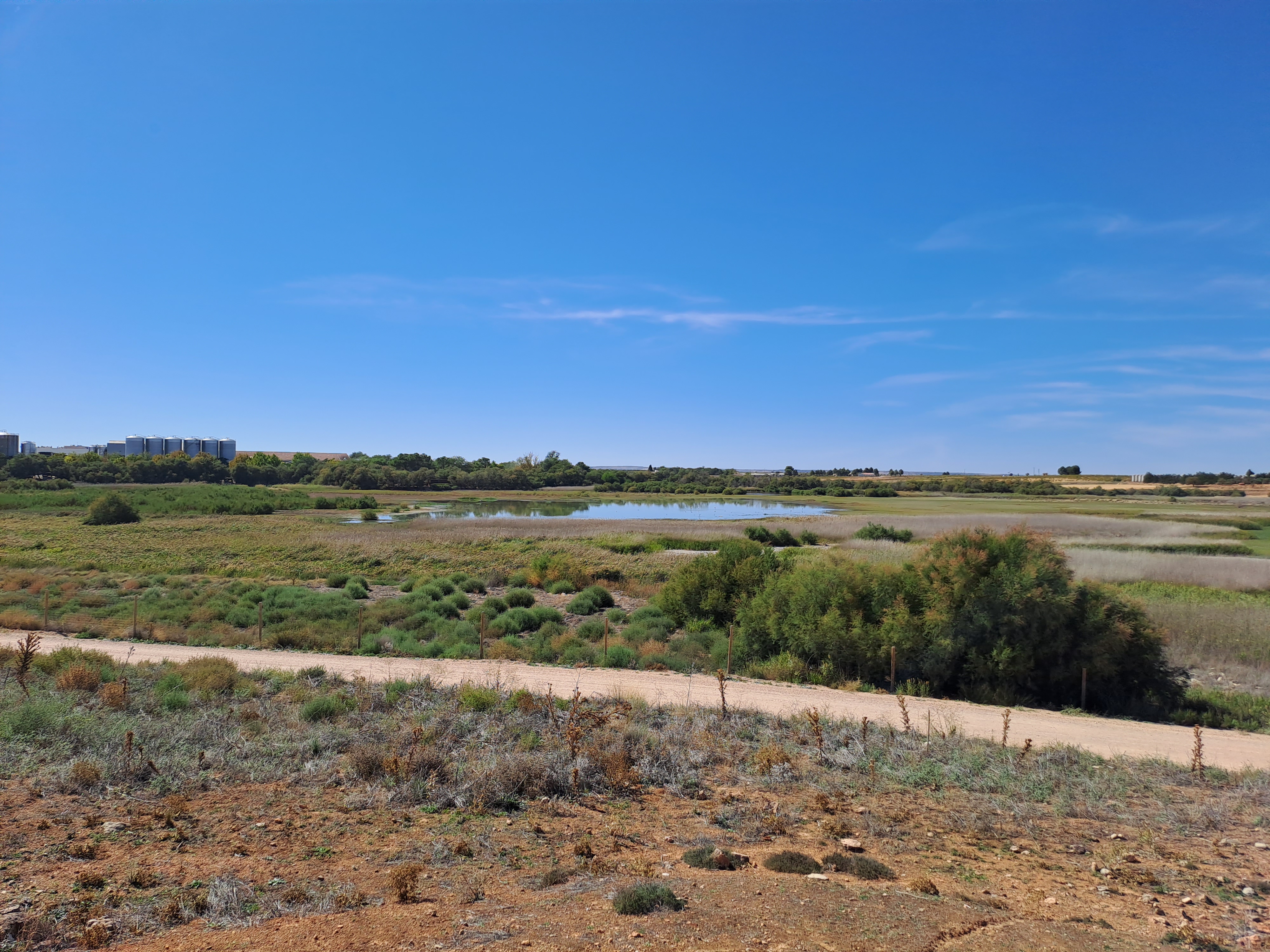 Foto de Del Pueblo/De la Vega (Pedro Muñoz)