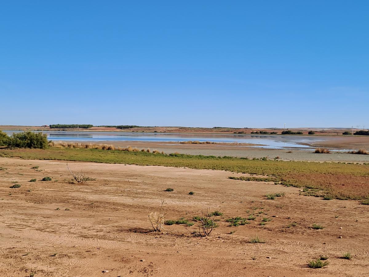 Foto de El Camino de Villafranca (Alcázar de San Juan)