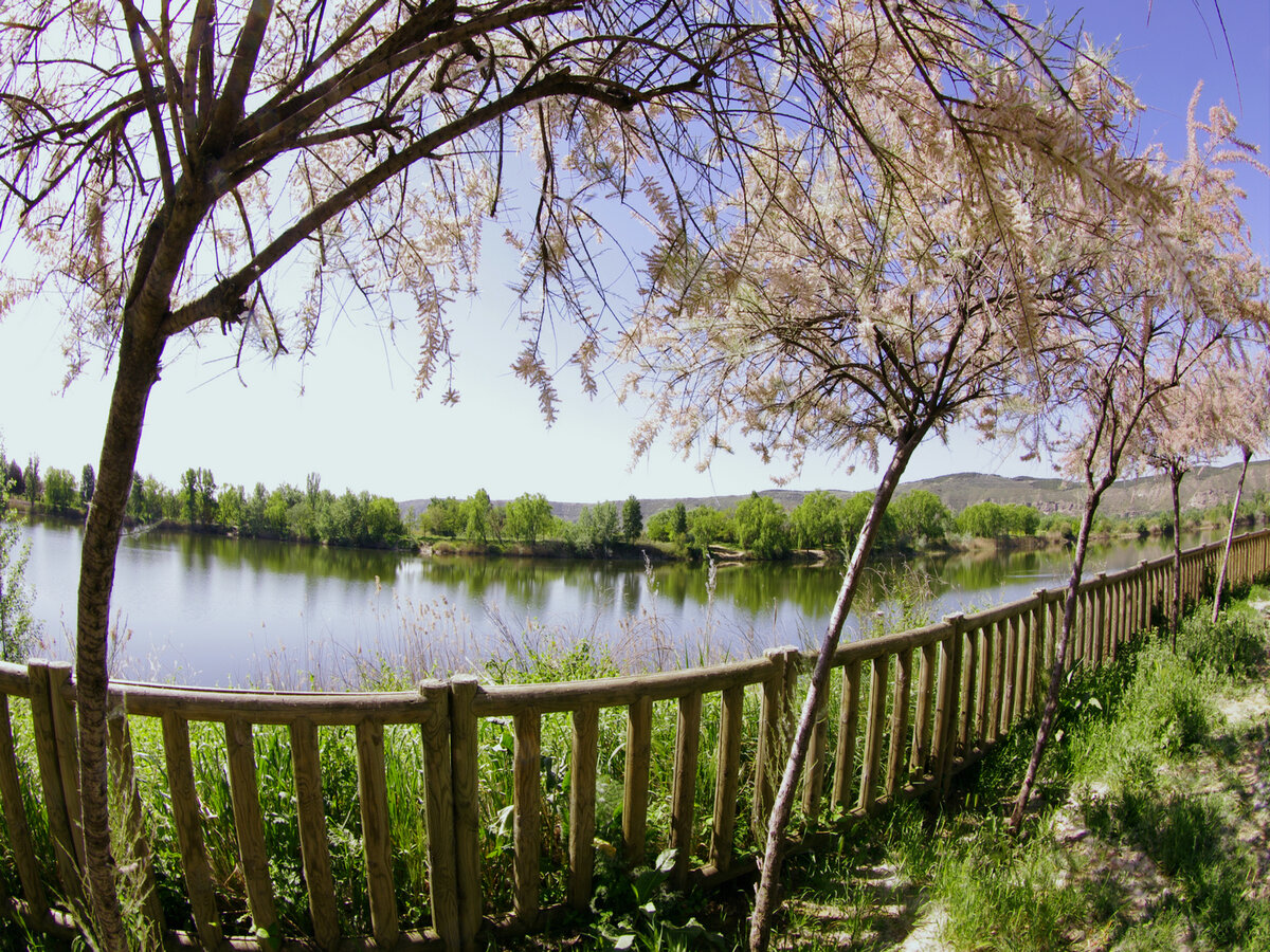 Foto de El Raso (Velilla de San Antonio)