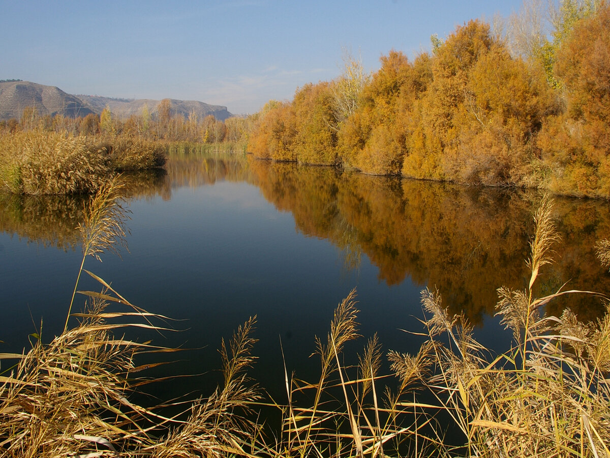 Foto de El Soto (Velilla de San Antonio)