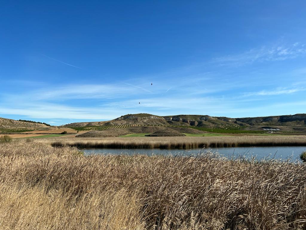 Foto de La Guardia/Cedrón (La Guardia)