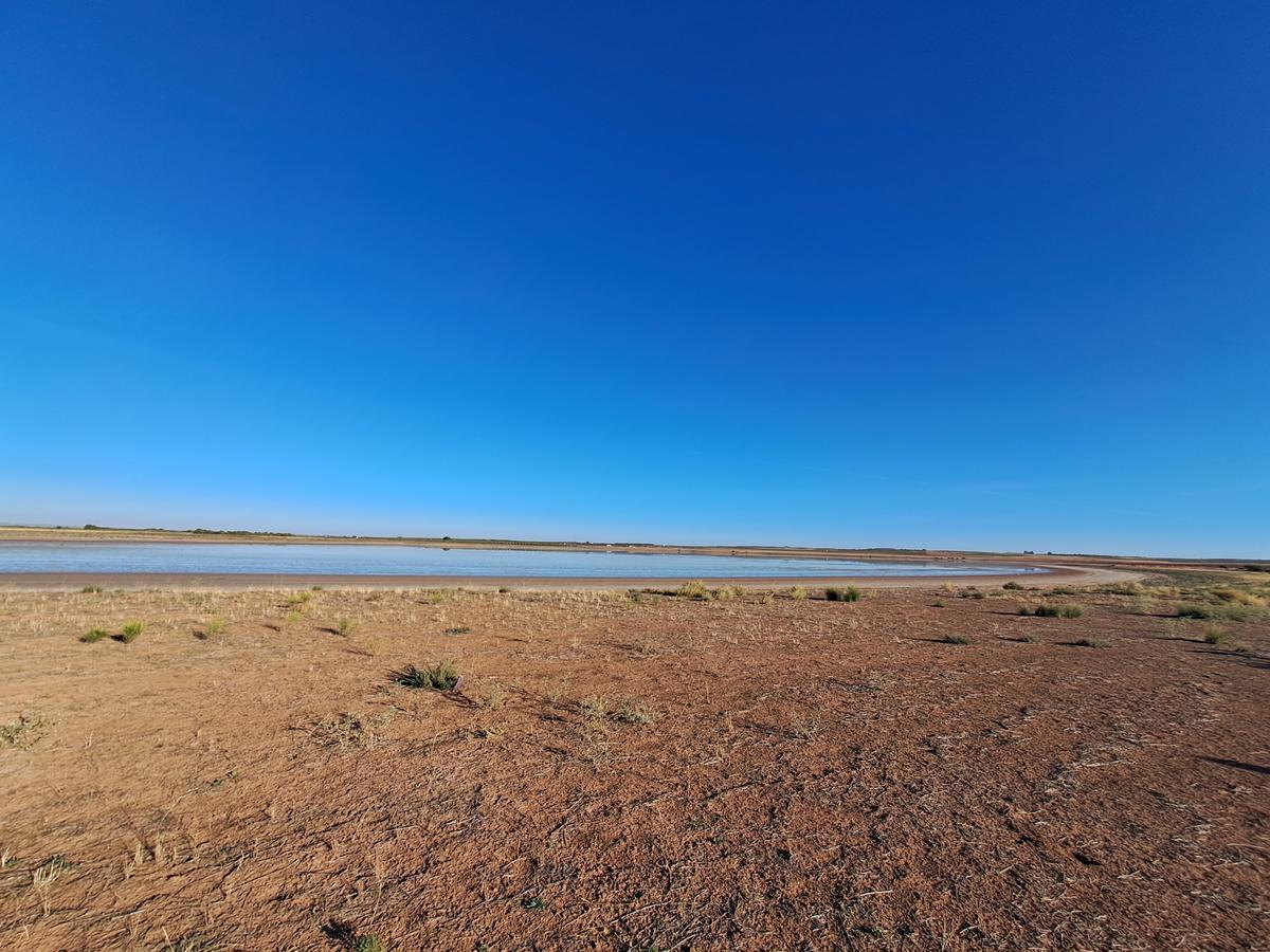 Foto de Las Yeguas (Alcázar de San Juan)