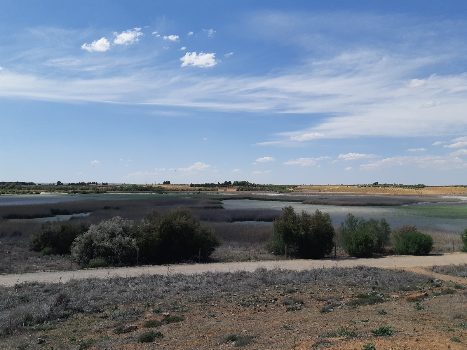 Foto de Manjavacas (Mota del Cuervo)