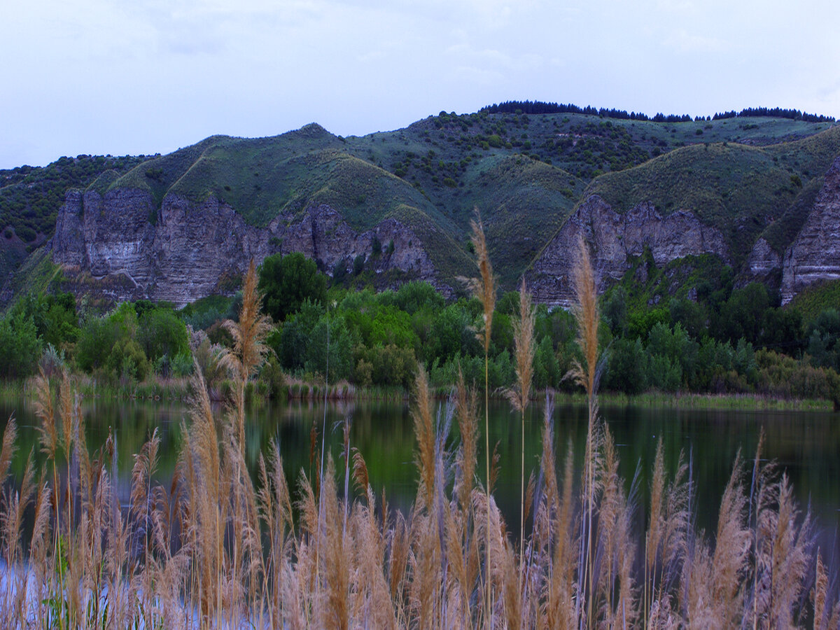 Foto de Picón de los Conejos (Velilla de San Antonio)
